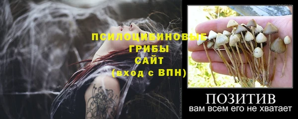 МДПВ Алзамай