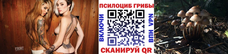 Псилоцибиновые грибы Psilocybine cubensis  Грайворон 